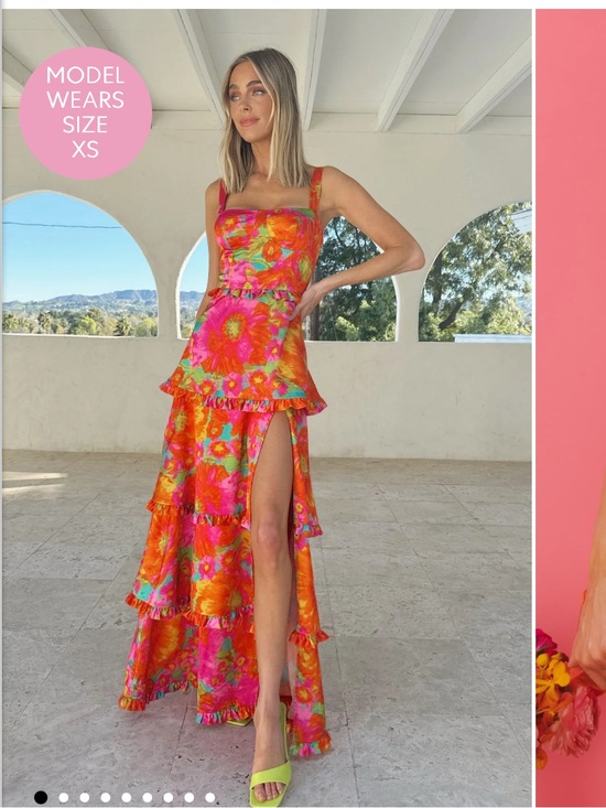 Show Me Your MuMu Dresses & Skirts - Show Me Your MuMu Lady Corset Maxi Dress — Hot Pink & Orange Floral